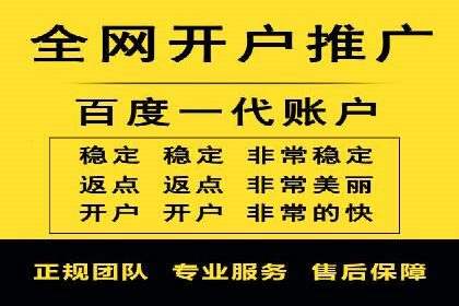 某企业通过SEO和SEM双管齐下实现业绩飞跃的案例